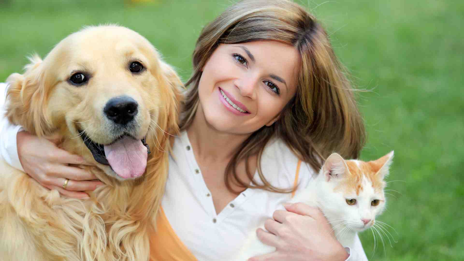 Creating a Pet Trust helps ensure your pet will be well cared for